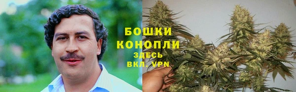 прущие крисы Верхний Тагил
