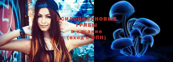 гидропоника Верея