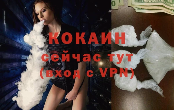 ПСИЛОЦИБИНОВЫЕ ГРИБЫ Верхнеуральск