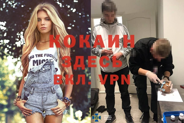 ПСИЛОЦИБИНОВЫЕ ГРИБЫ Верхнеуральск