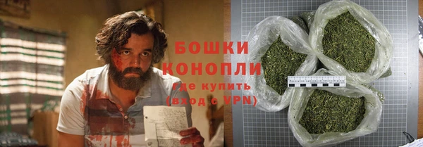 ПСИЛОЦИБИНОВЫЕ ГРИБЫ Верхнеуральск