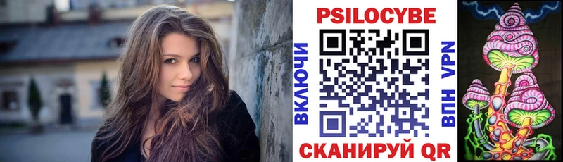 Галлюциногенные грибы Psilocybe  Купить где  Мышкин 